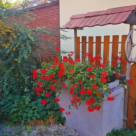 Kriszta Apartament Balatongyörök